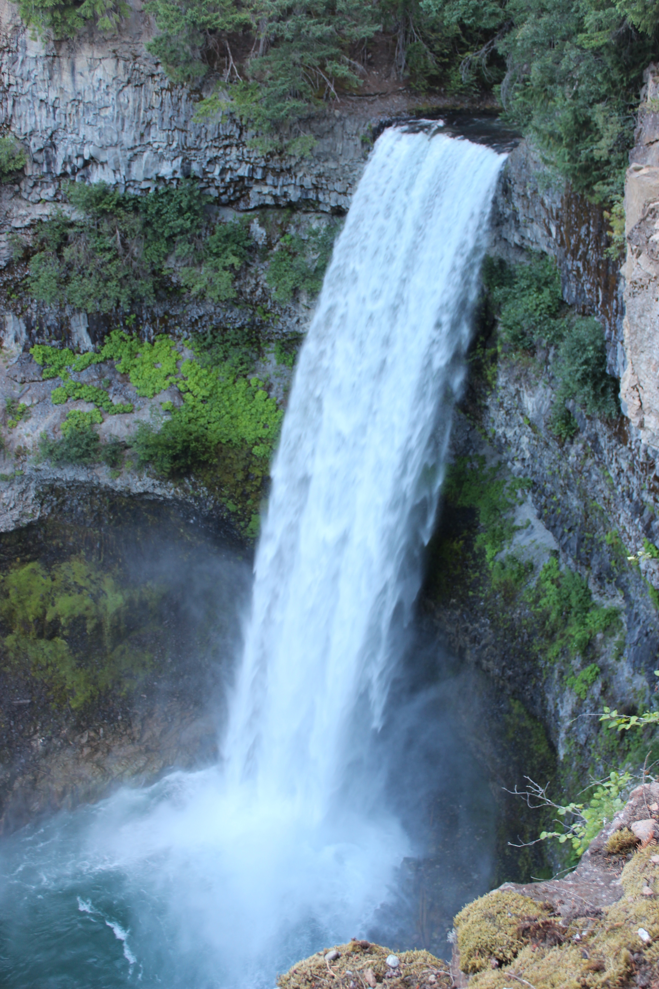 5 Reasons to Rediscover Your Own Backyard