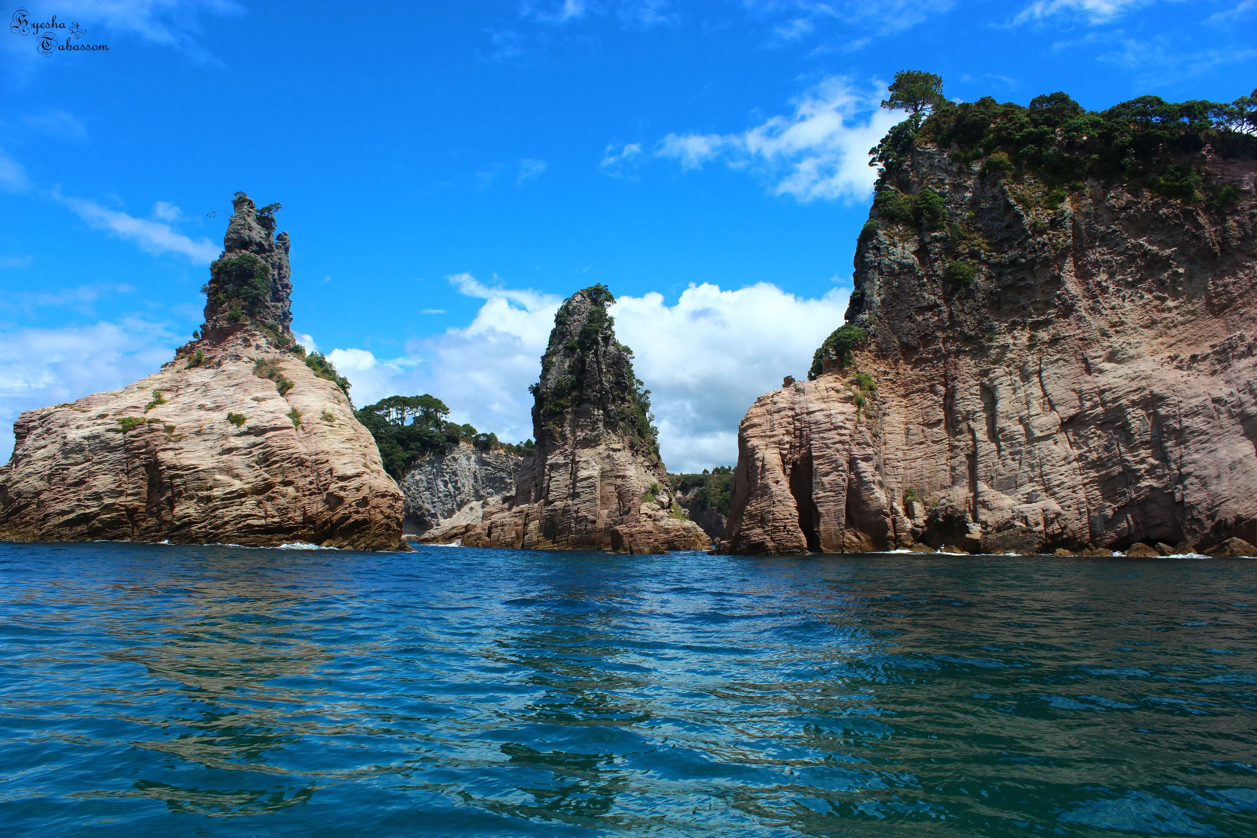 Searching for Answers at Cathedral Cove, New Zealand