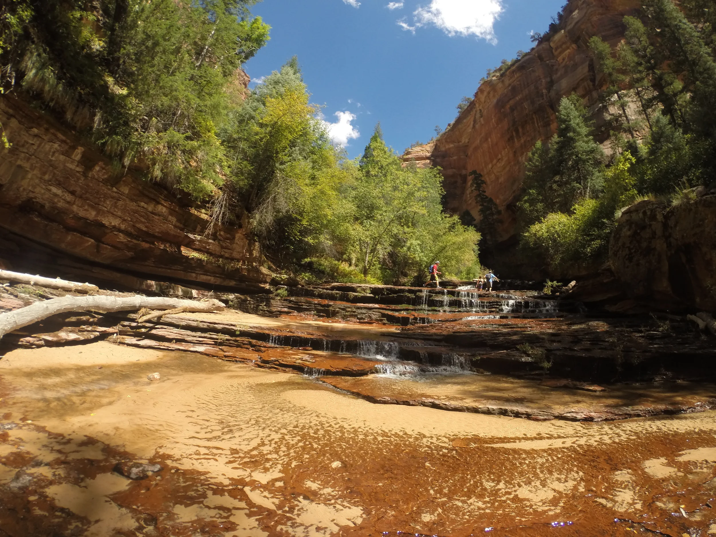 Take Your Own Grand Tour of Zion National Park, Utah