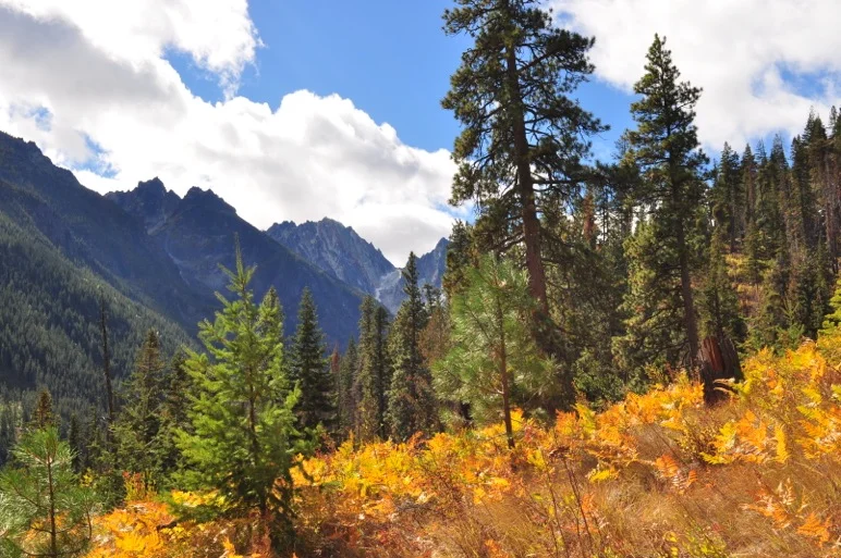 Learning to Expect the Unexpected: Backpacking Eight Mile Lake