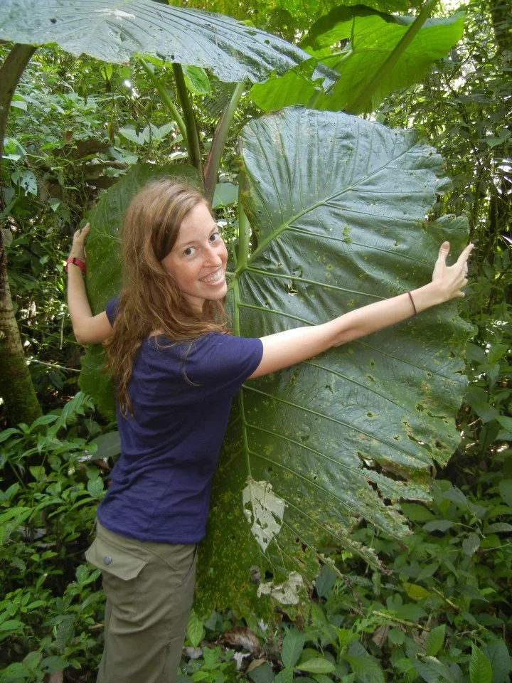 costa rica rainforest lauren bringle this world exists thisworldexists