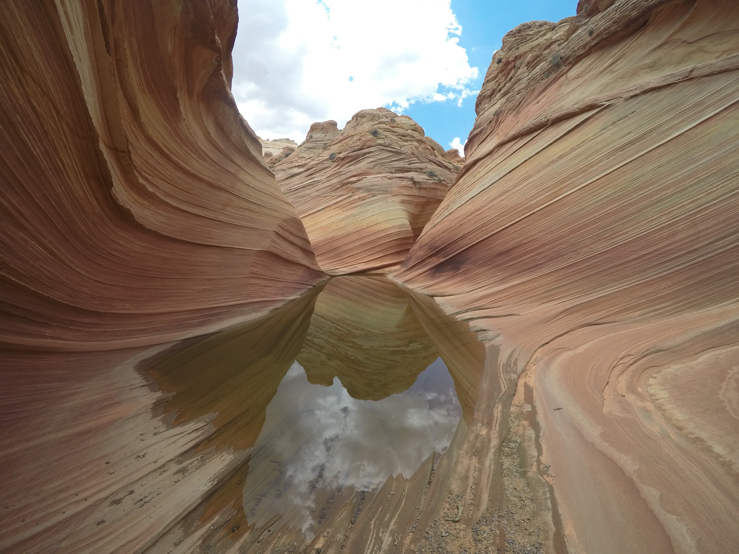 An insider's exclusive, must-see tour of "The Wave” in Arizona's Desert