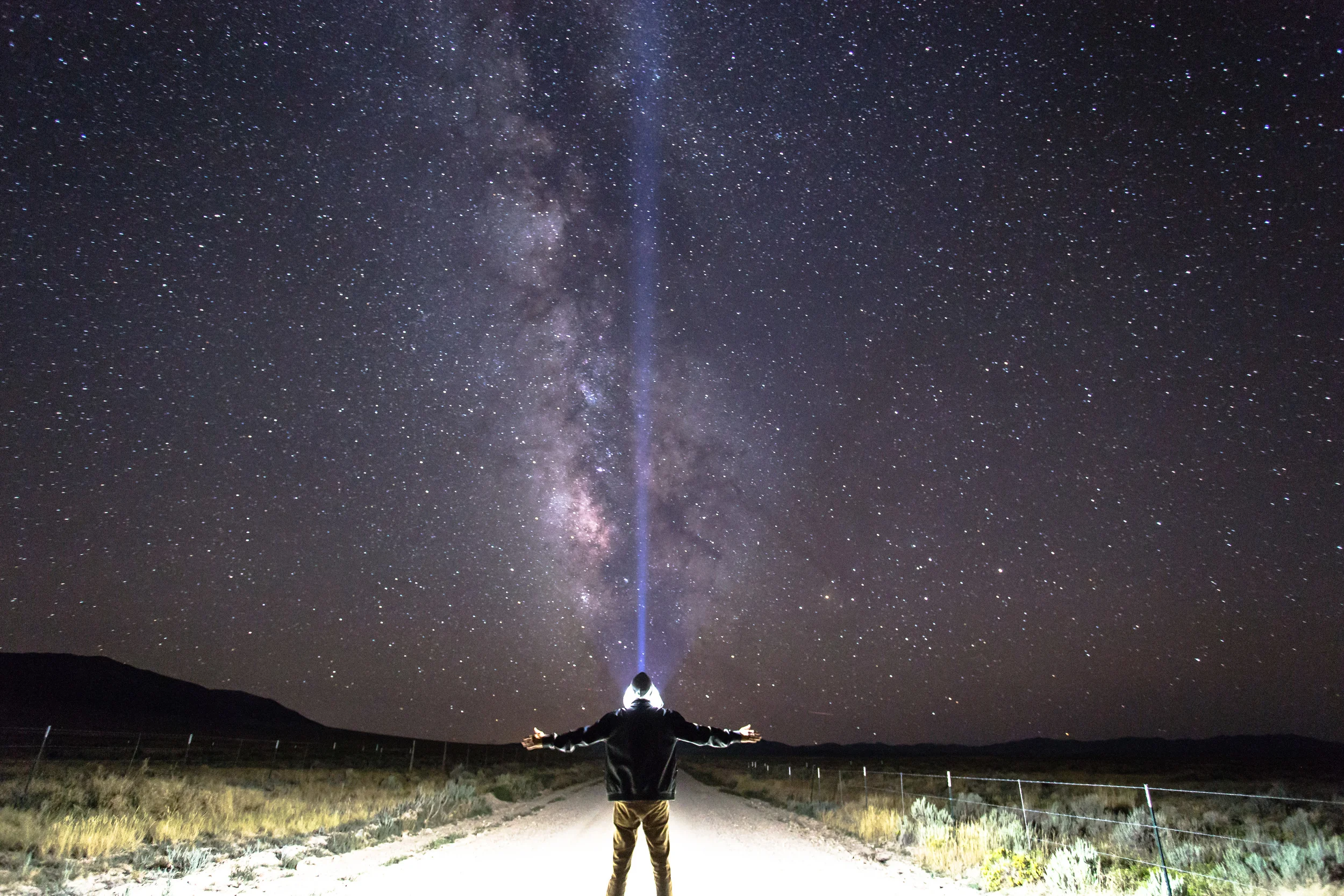 How to Choose Your Own Adventure? Go Alone