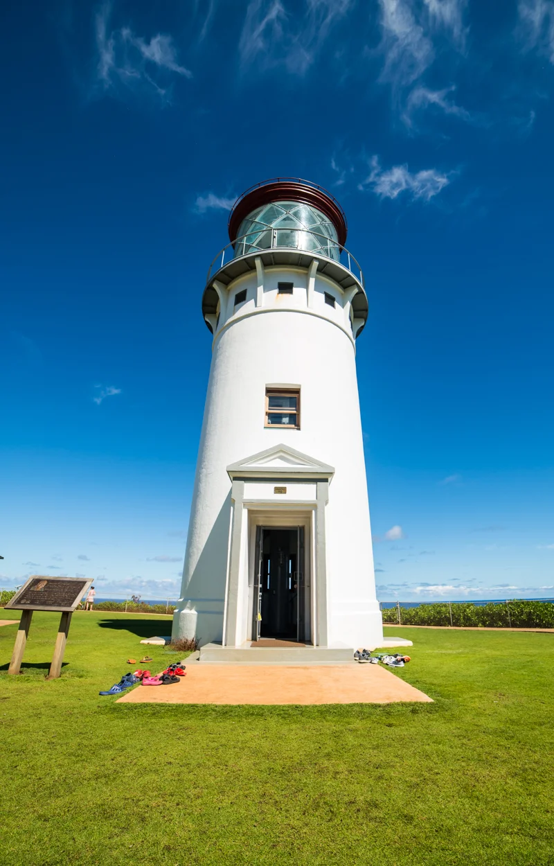 kasey crook thisworldexists this world exists kauai