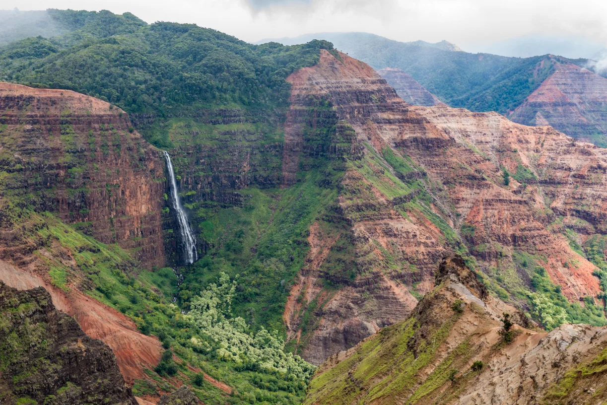 Stop What You're Doing and Buy a Ticket to Kauai'