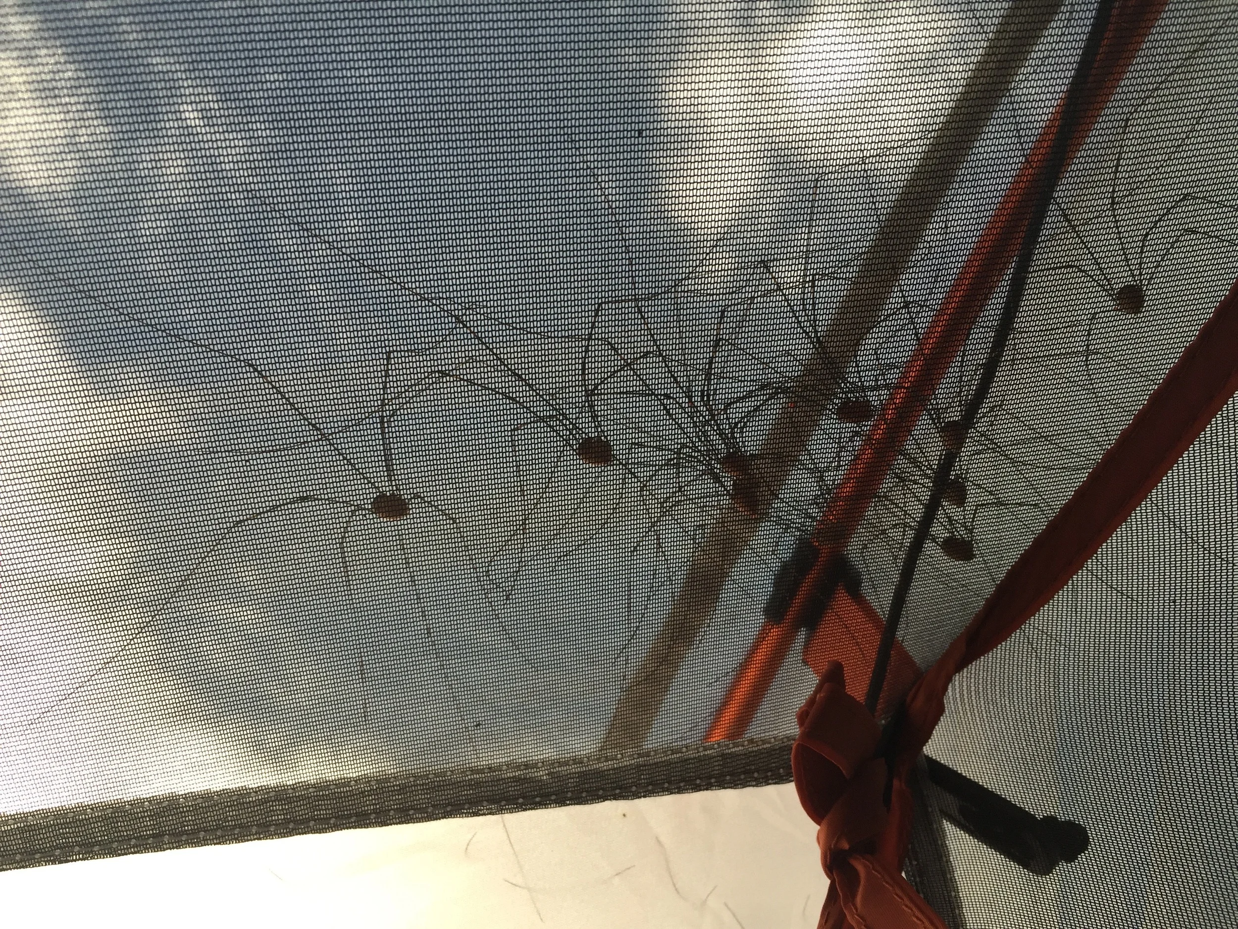 Dirty shirts, wet socks: a trip to Lost Maples State Park, Texas