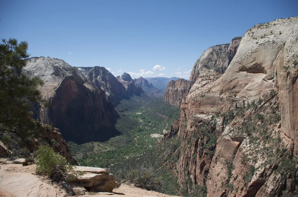 Angel's Landing. Photo by Kasey Crook. Instagram: @kaseylynn00