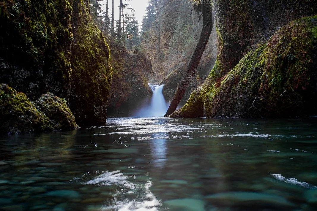 Eternal Beauty: Magical Waterfalls of the Pacific Northwest