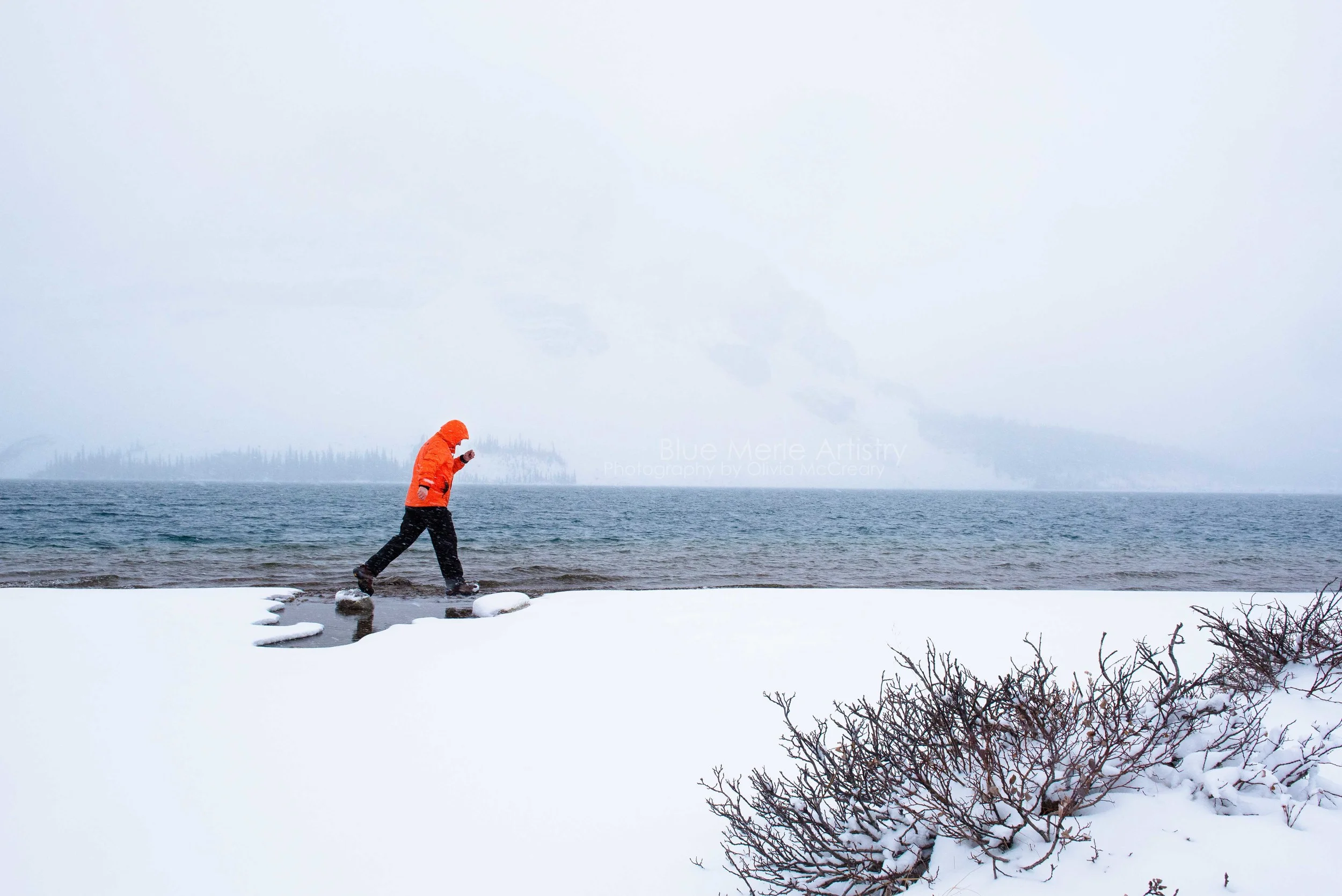 5 Reasons to Brave the Cold this Winter