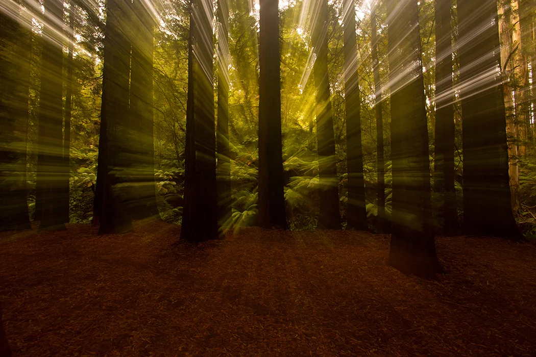 The Great Ocean Road: 243 Kilometres of Pure Bliss