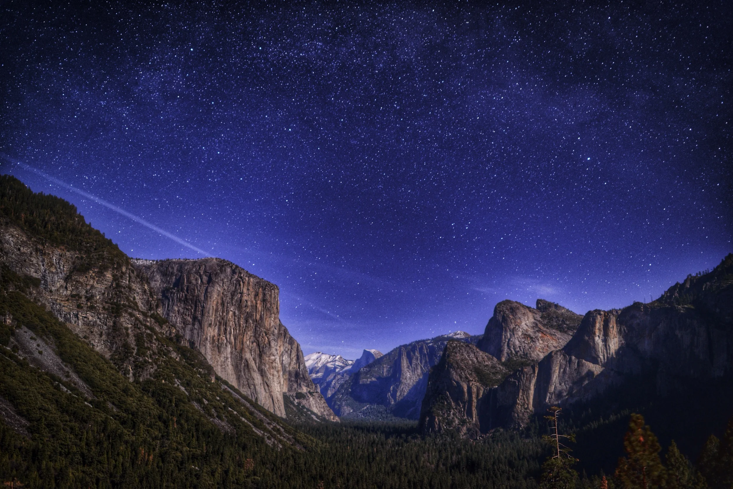 Nature at it's finest - MUST SEE!