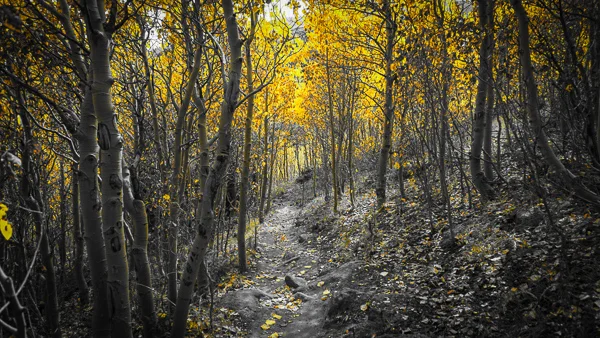 3 Reasons to Drop Everything and Explore Today