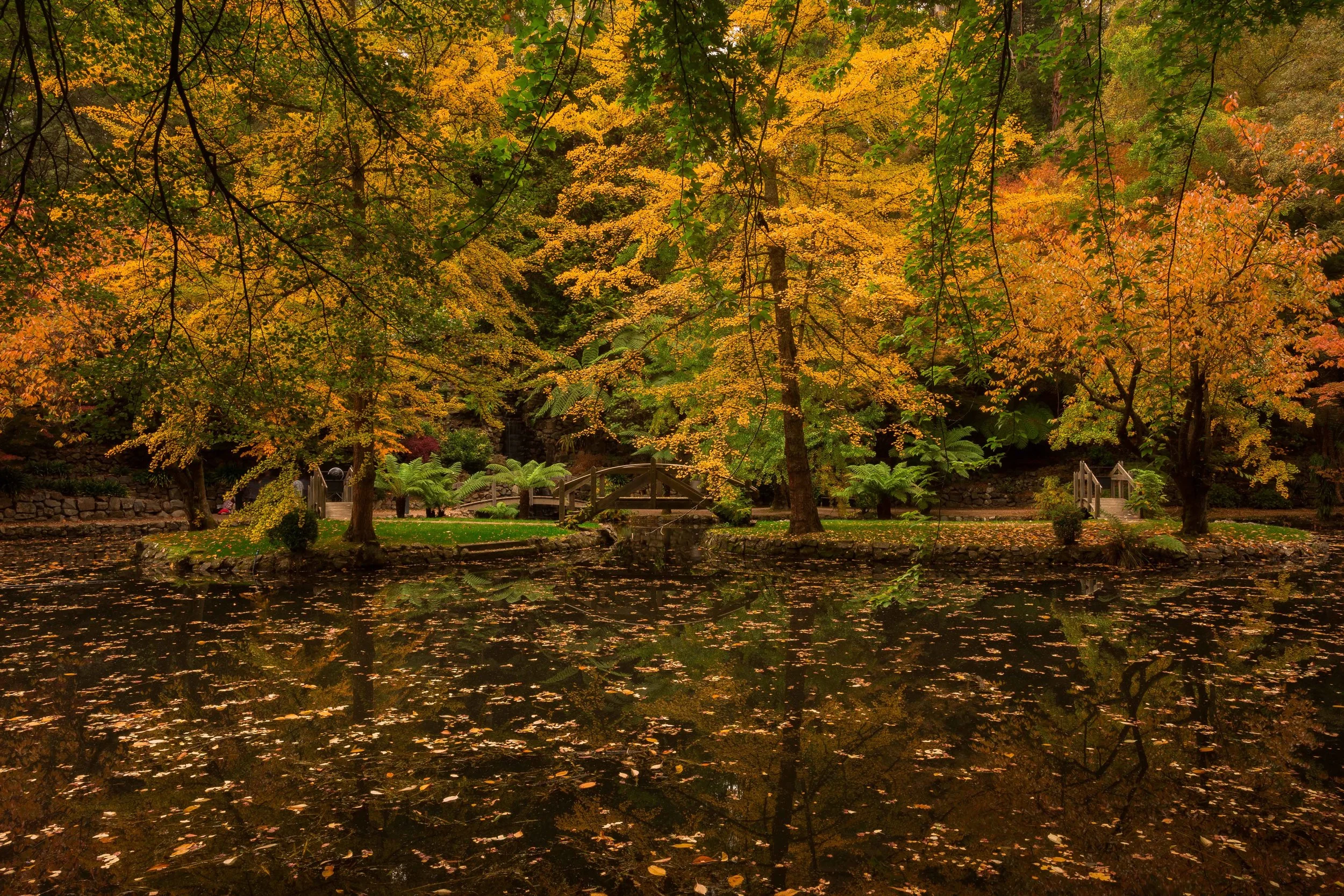 Melbourne's Perfect Autumn Getaways 