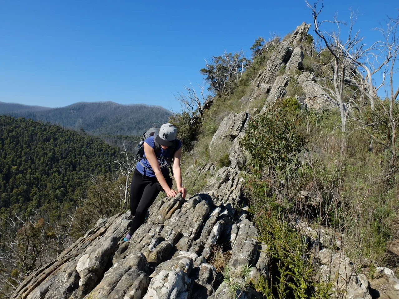 renae verboon chrissie atkinson thisworldexists this world exists cathedral ranges