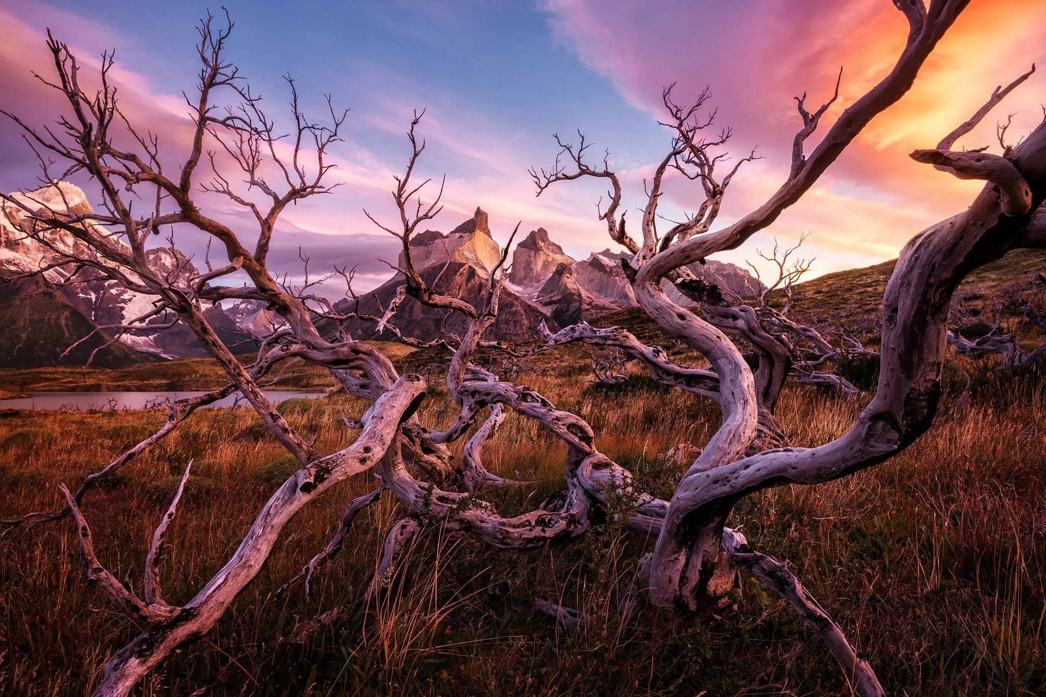 Patagonia: Intimidating Landscape for Brave Adventurers