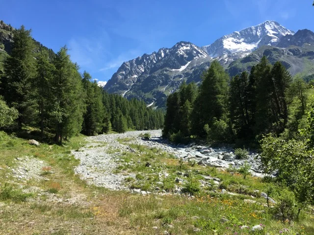 IMG_5139.jpeg