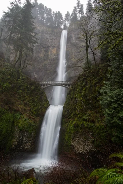 MULTNOMAH FALLS, SPRING