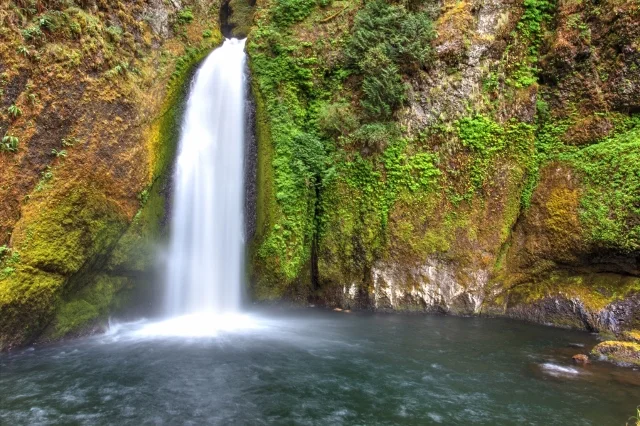 WALCLELLA FALLS, SUMMER