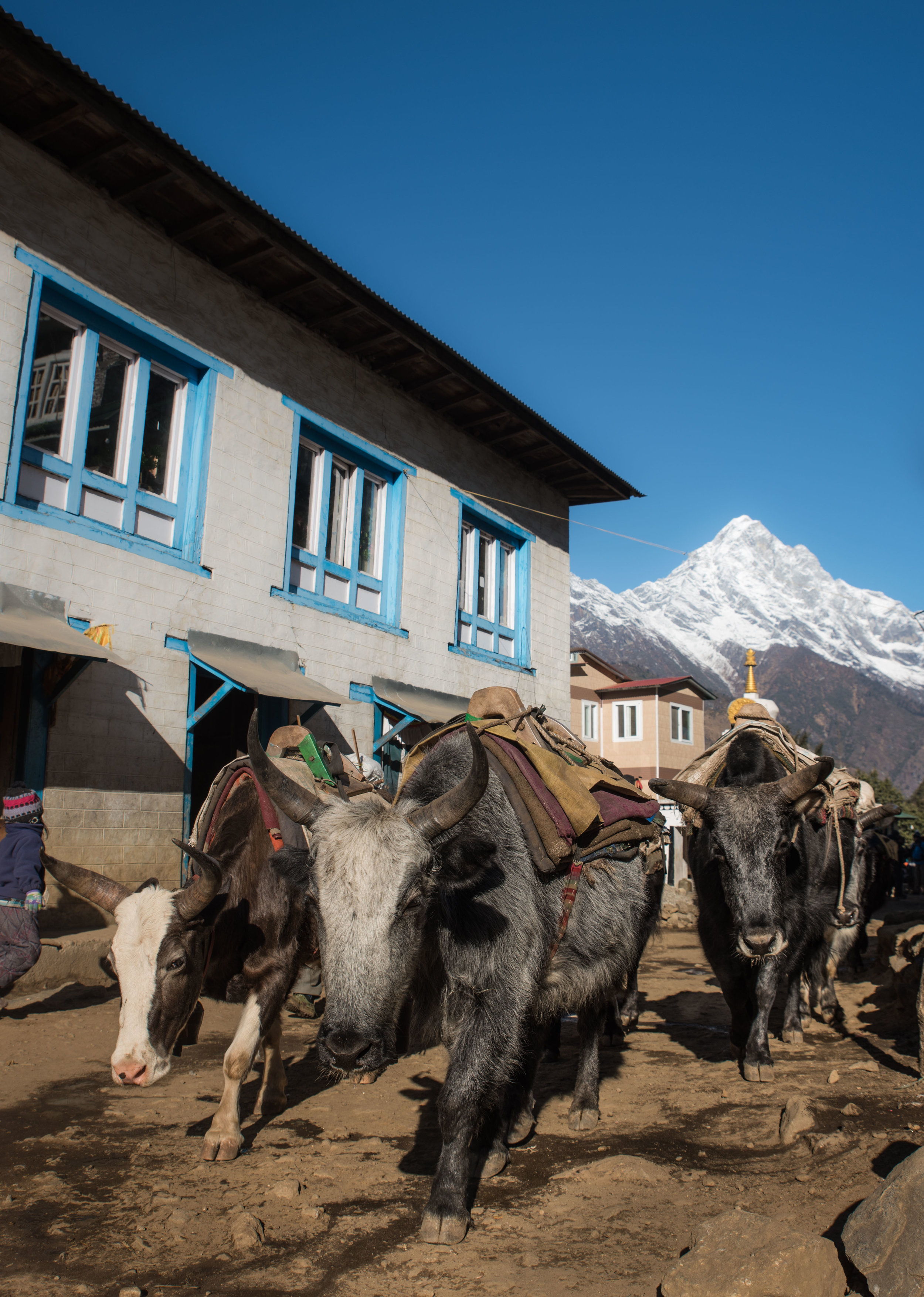 Nepal2017-57.jpg