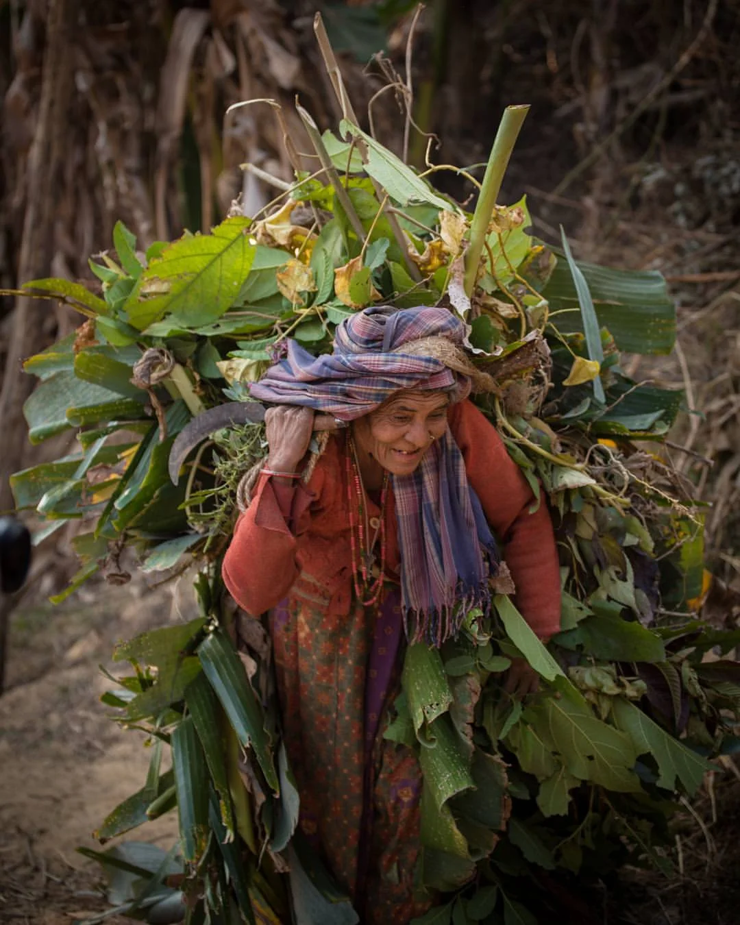 PHOTO BY KRIS PENN @KRIS_PENN