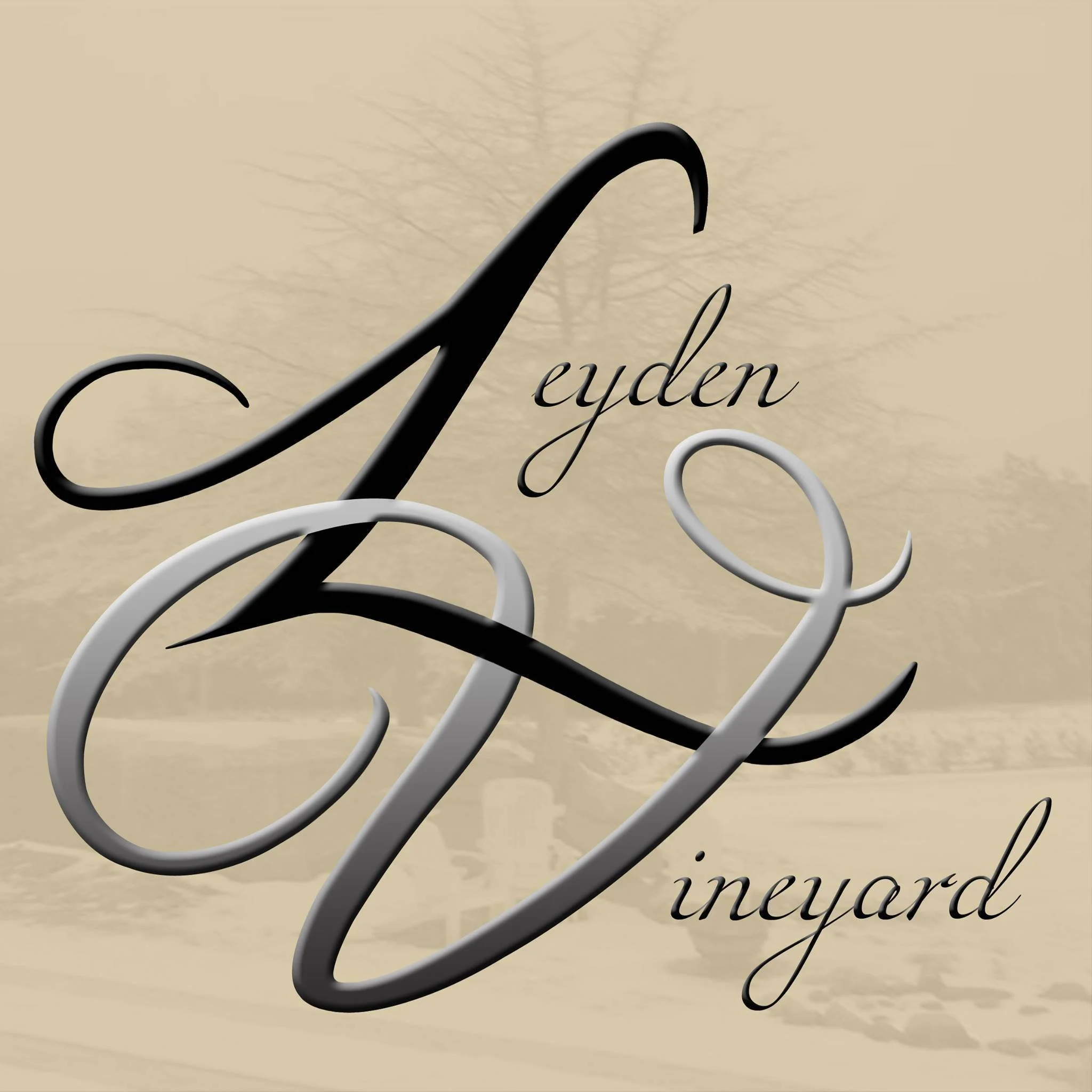 Leyden Winery - West Greenwich, RI