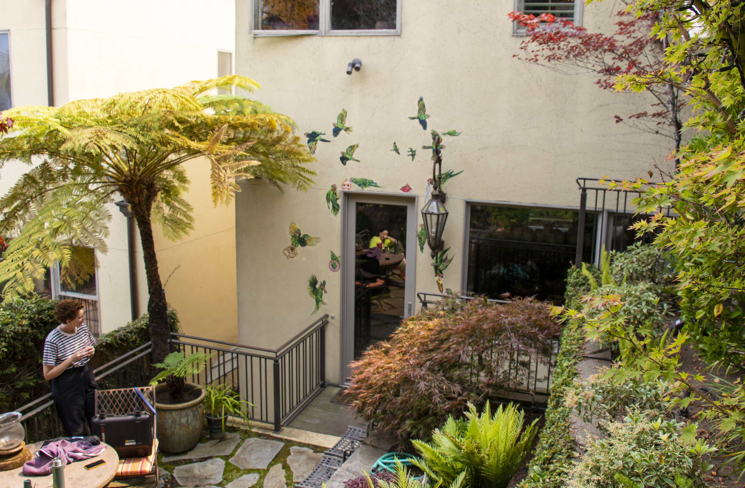Telegraph Hill Parrot Mural