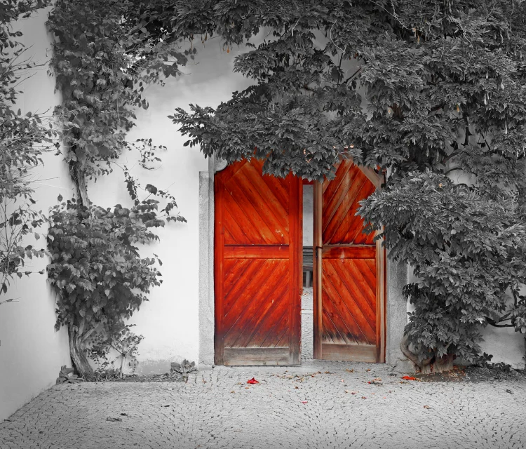 stock-photo-53957880-red-door.jpg