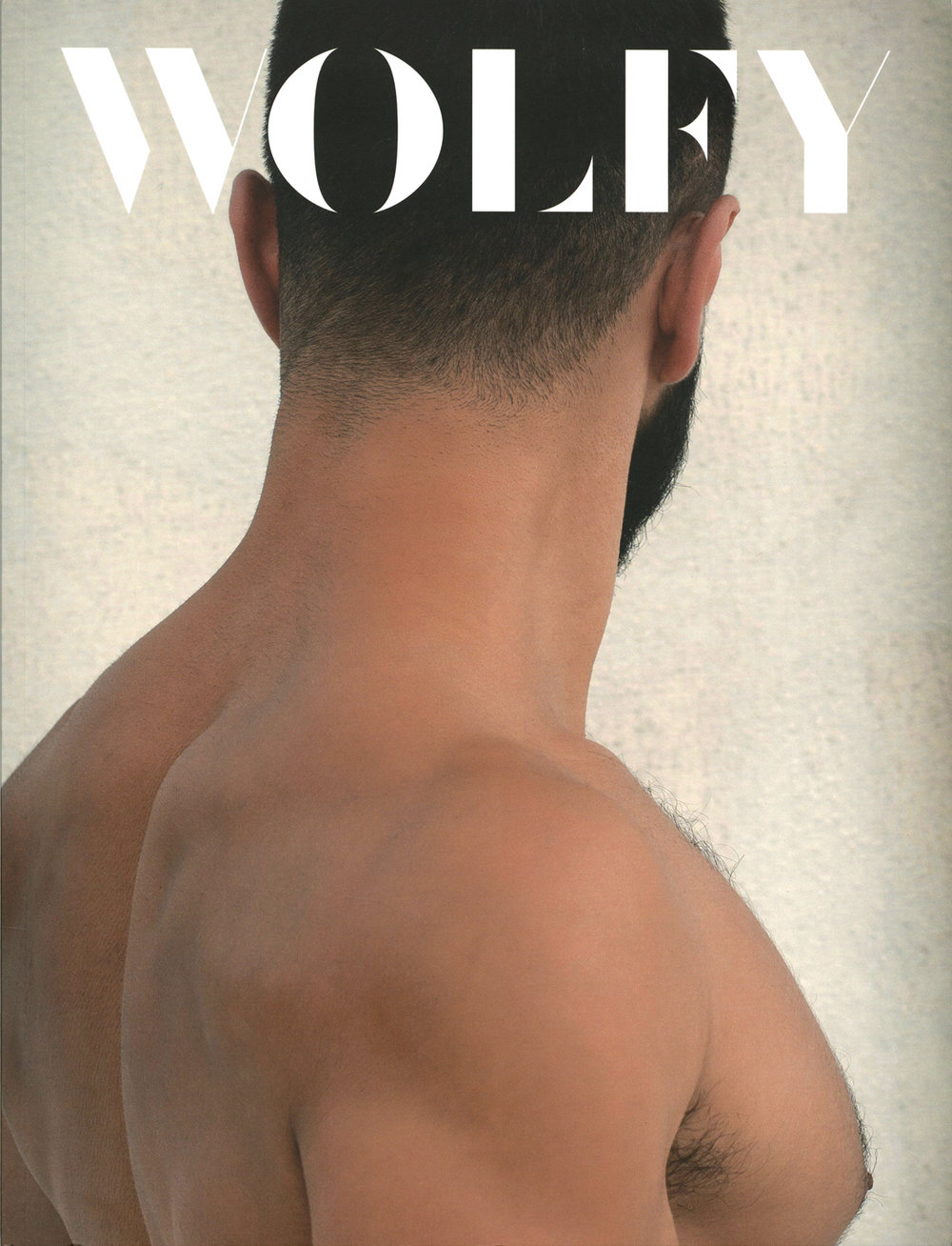 171100-Wolfy003-cover-LoRes.jpg