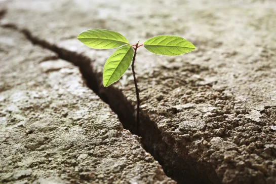 How Leaders Cultivate Passion For Their Work