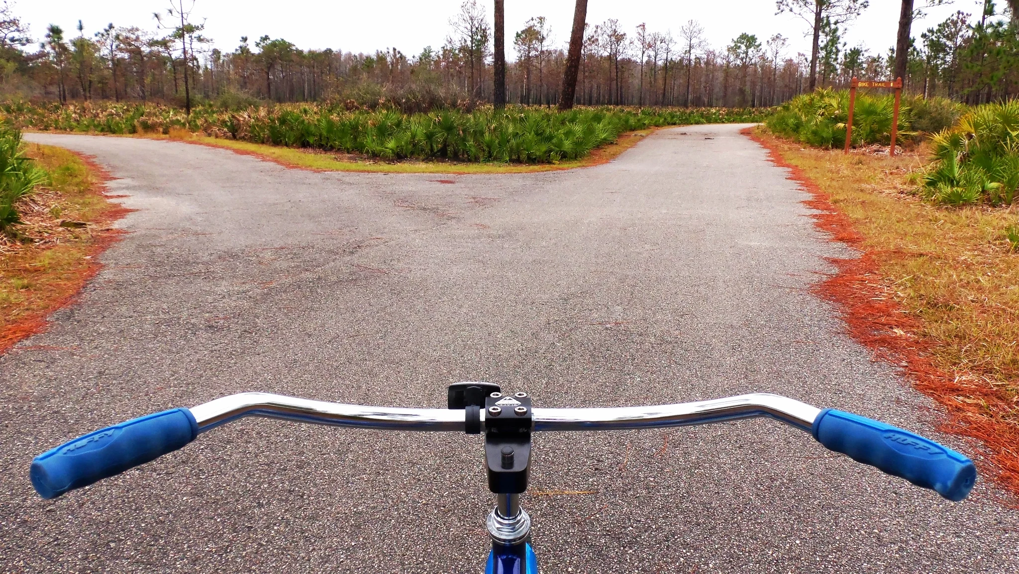  When You Come To A Fork In The Road