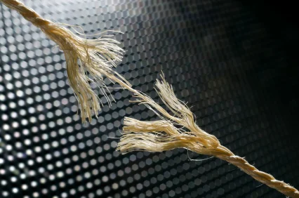 How Leaders Learn From Their Losses