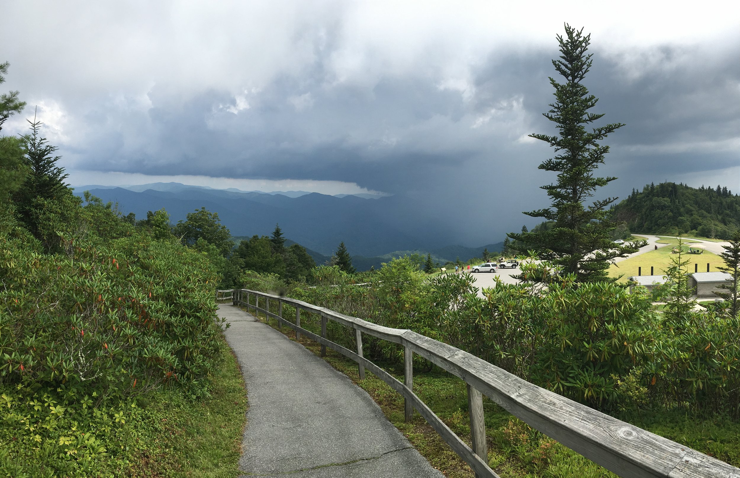 On My Walk (Courageous Patience)