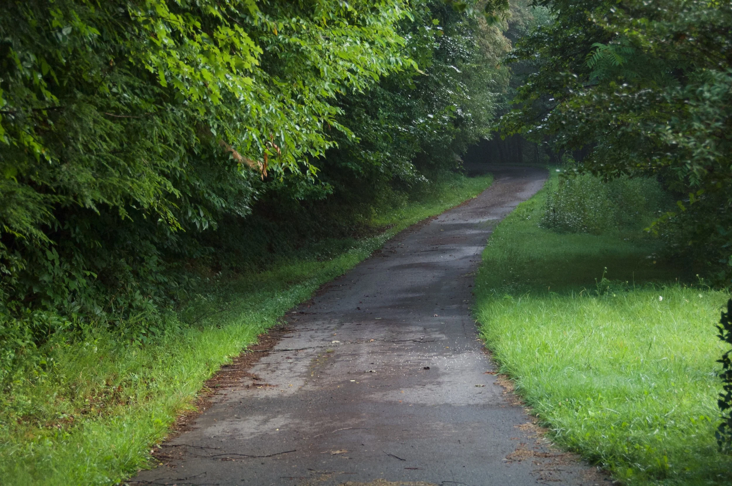 On My Walk (Creativity)