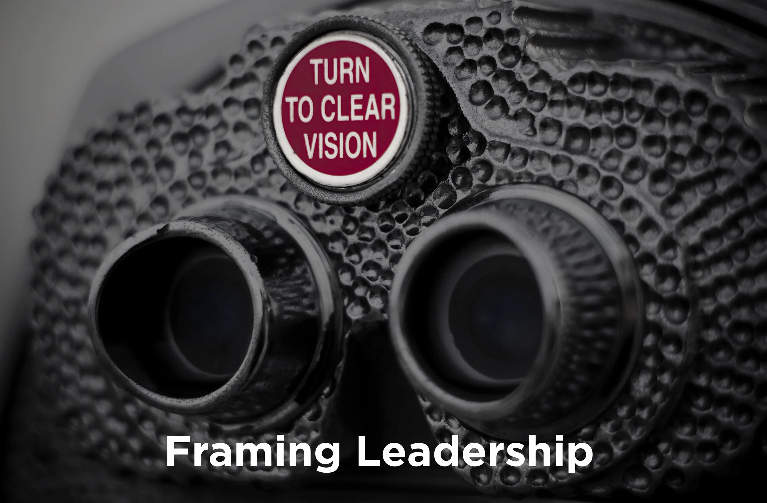 Framing Leadership.jpg