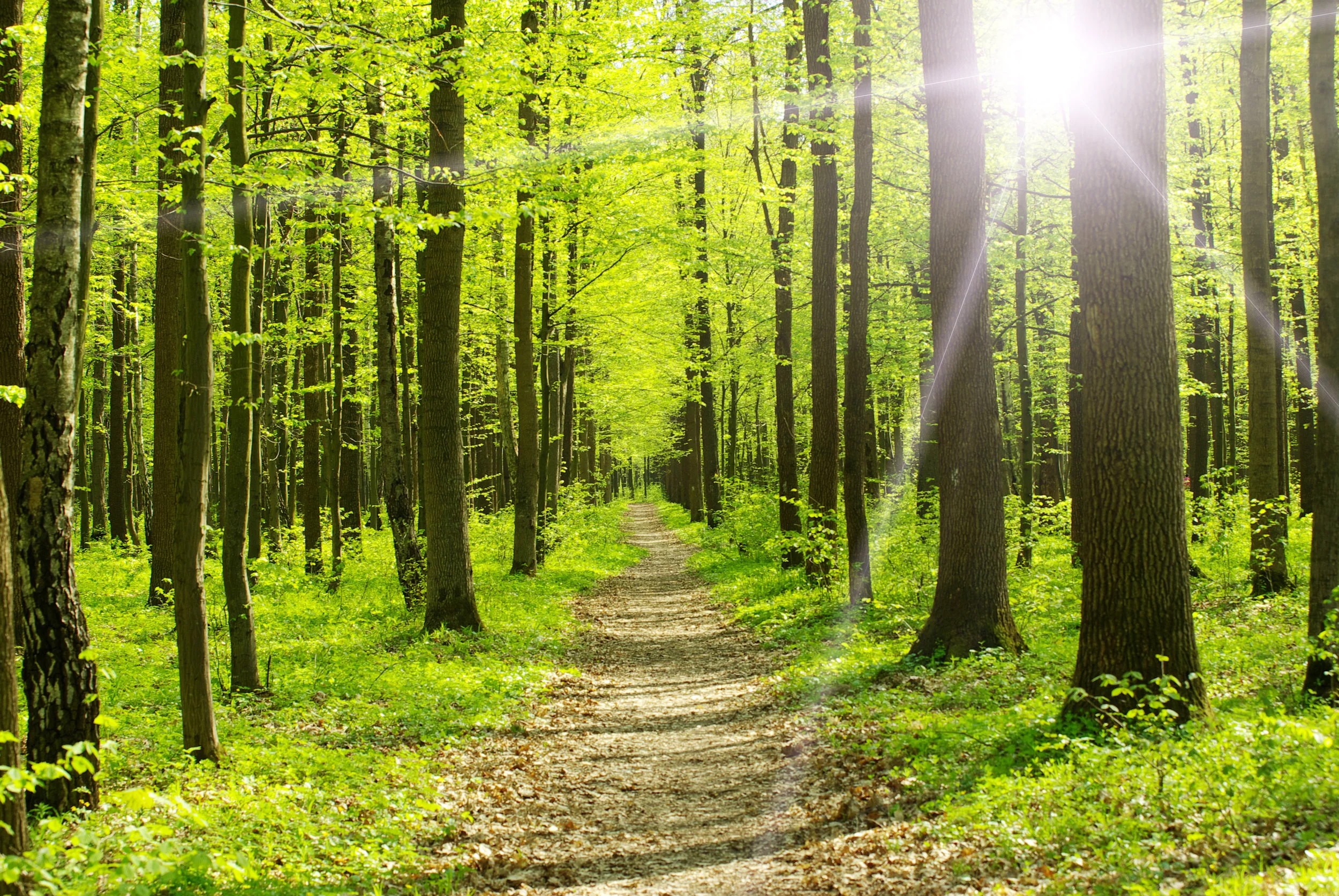 EIGHT "AHA! Moments" that help me flourish
