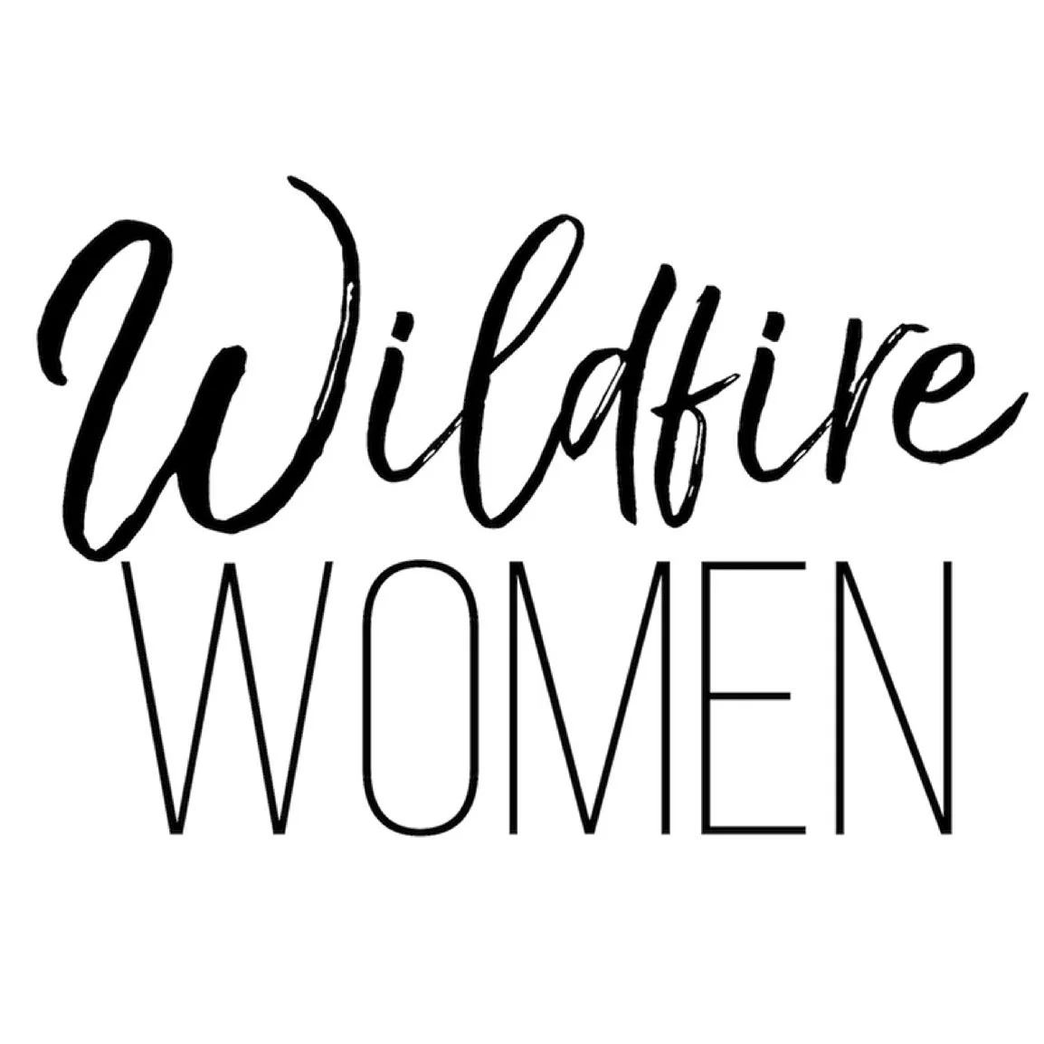 Wildfire Women Sarnia Meet Up | God's Impact On The Entrepreneur 
