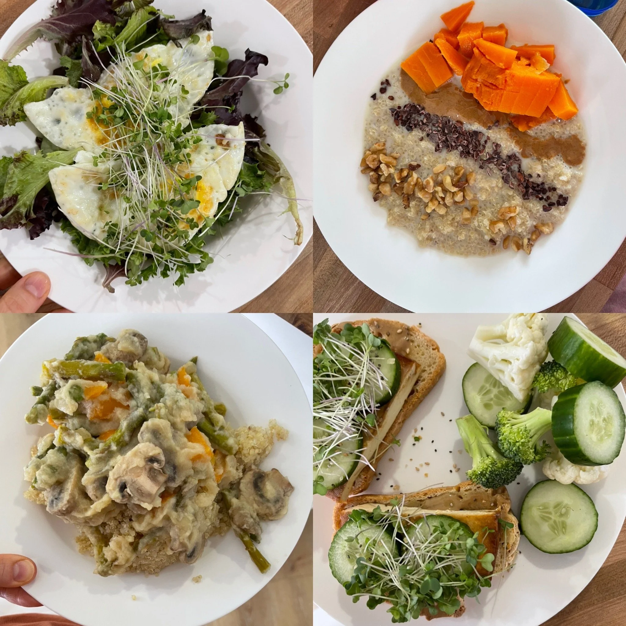 Beachbody Gut Protocol Review