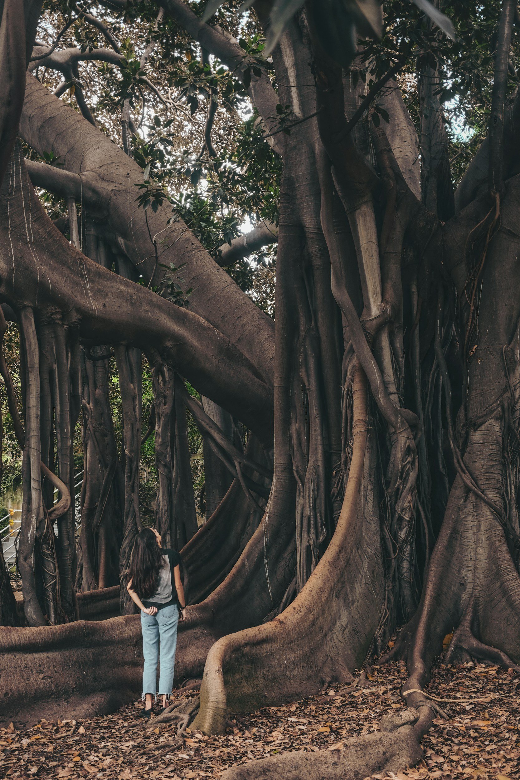 When you don't see the fruit, ask God to show you the root.