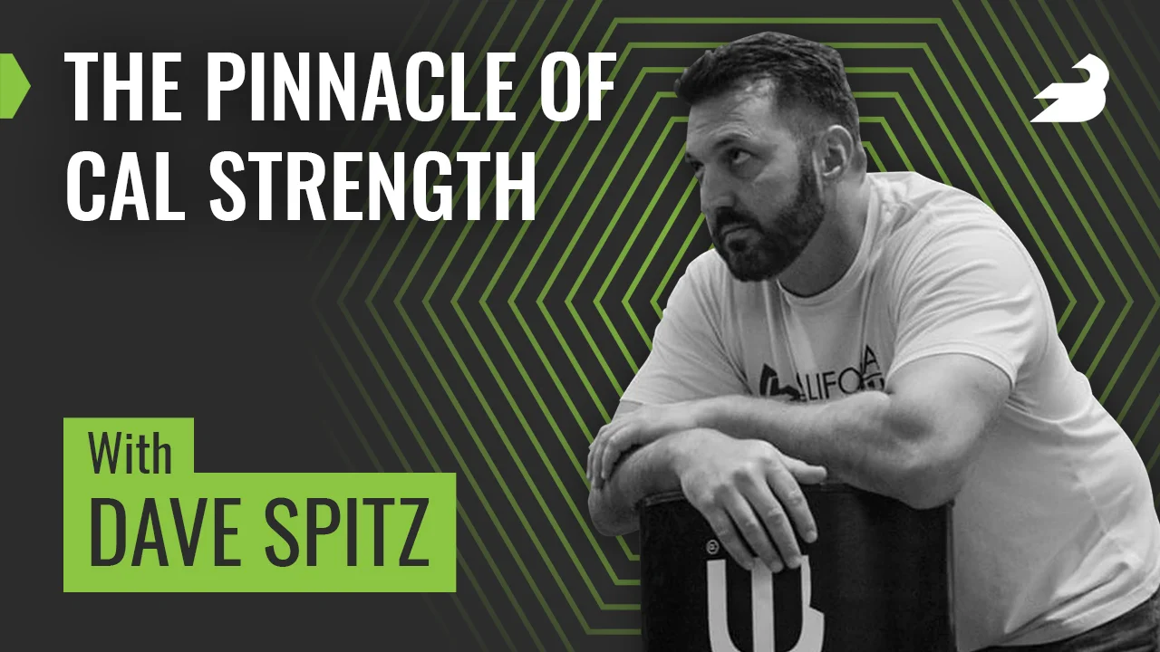 Barbend Podcast Episode with dave Spitz