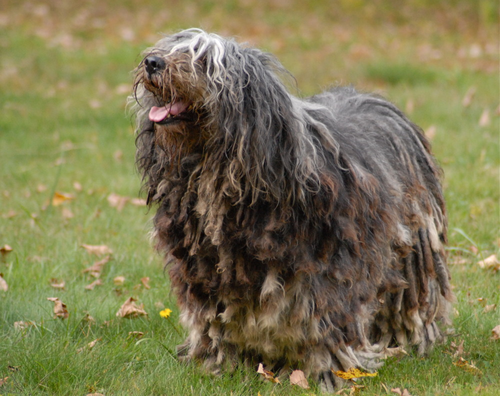 dsc_0052.jpg