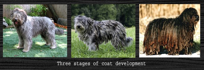 !2 Coat.jpg