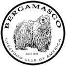 BSCA Logo for email _ 1.13.jpg
