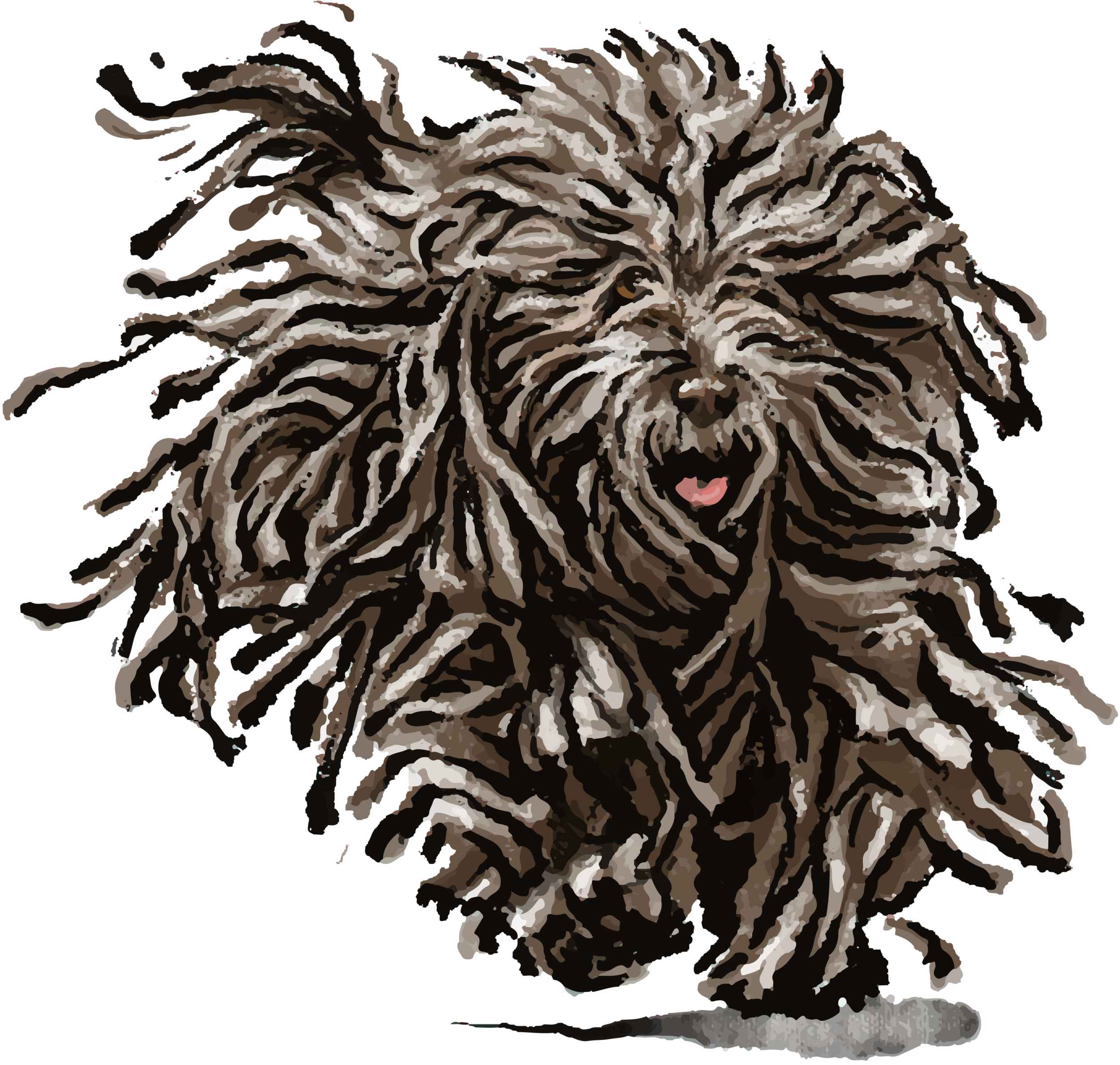 Bergamasco PNG@4x.png