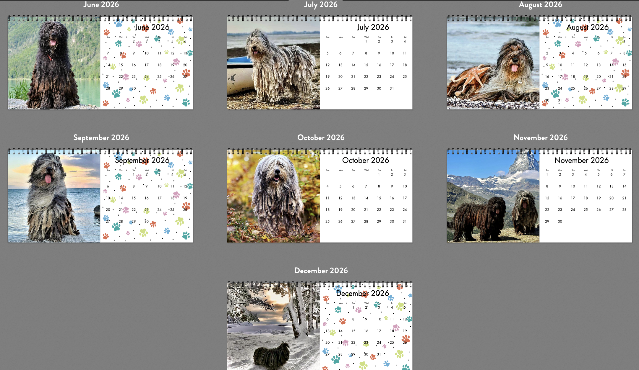 Screenshot 2025-11-01 at 2.22.50 PM.png