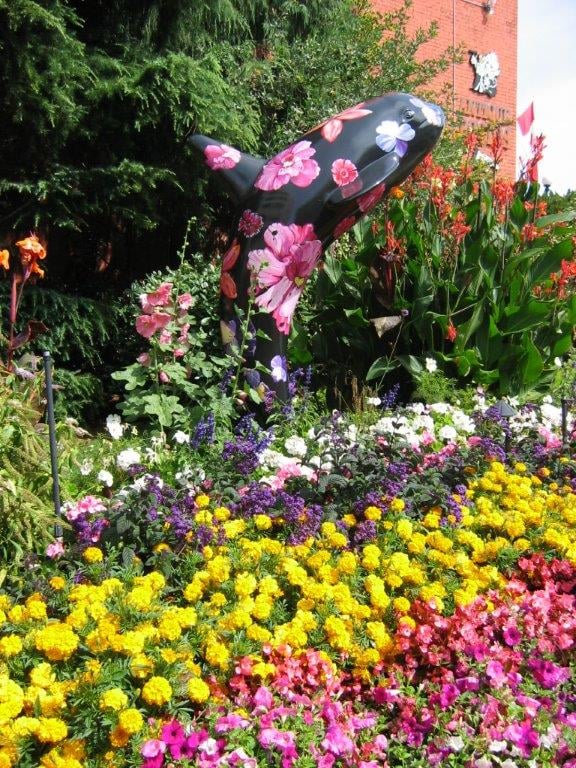 'Floribunda'