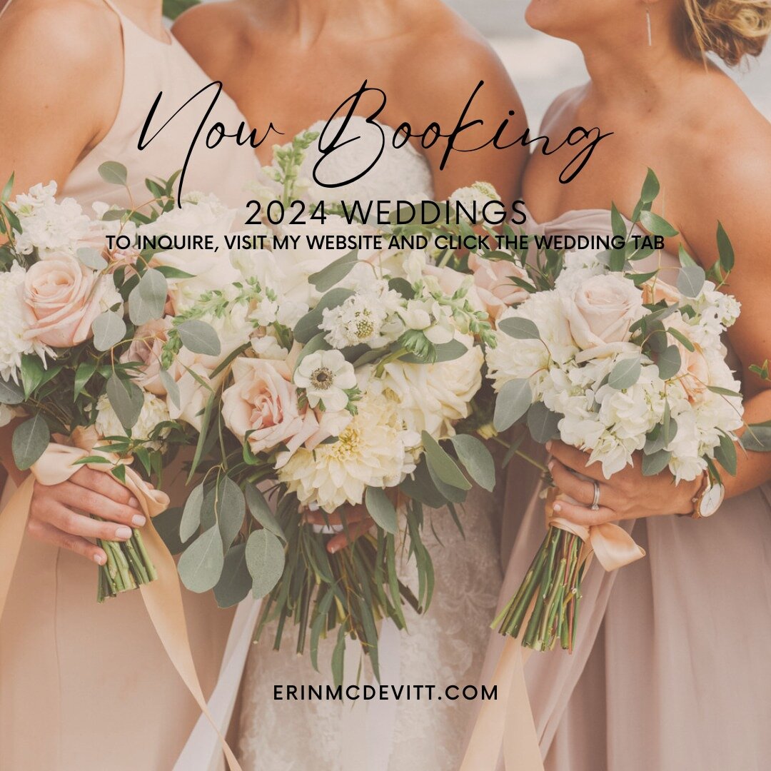 Have a wedding next year? I'd love to work together on your big day! Visit my website to see my wedding package info, FAQ's and my wedding gallery!