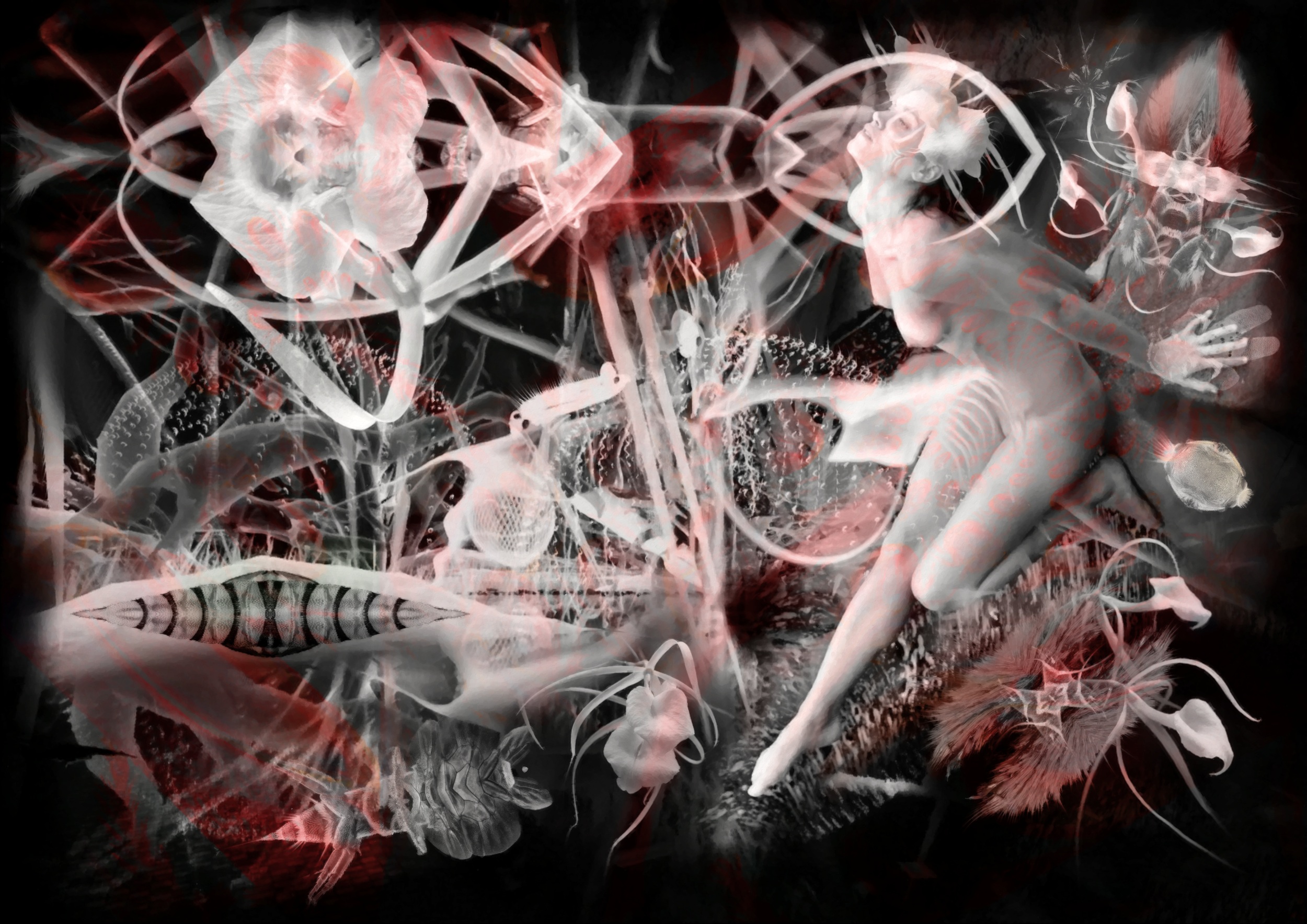 Alien0007 paper.png