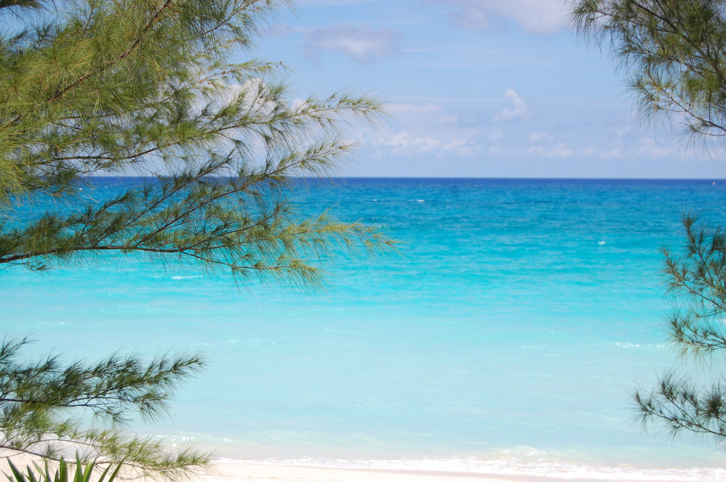 Look at these colors! The shades of blue...