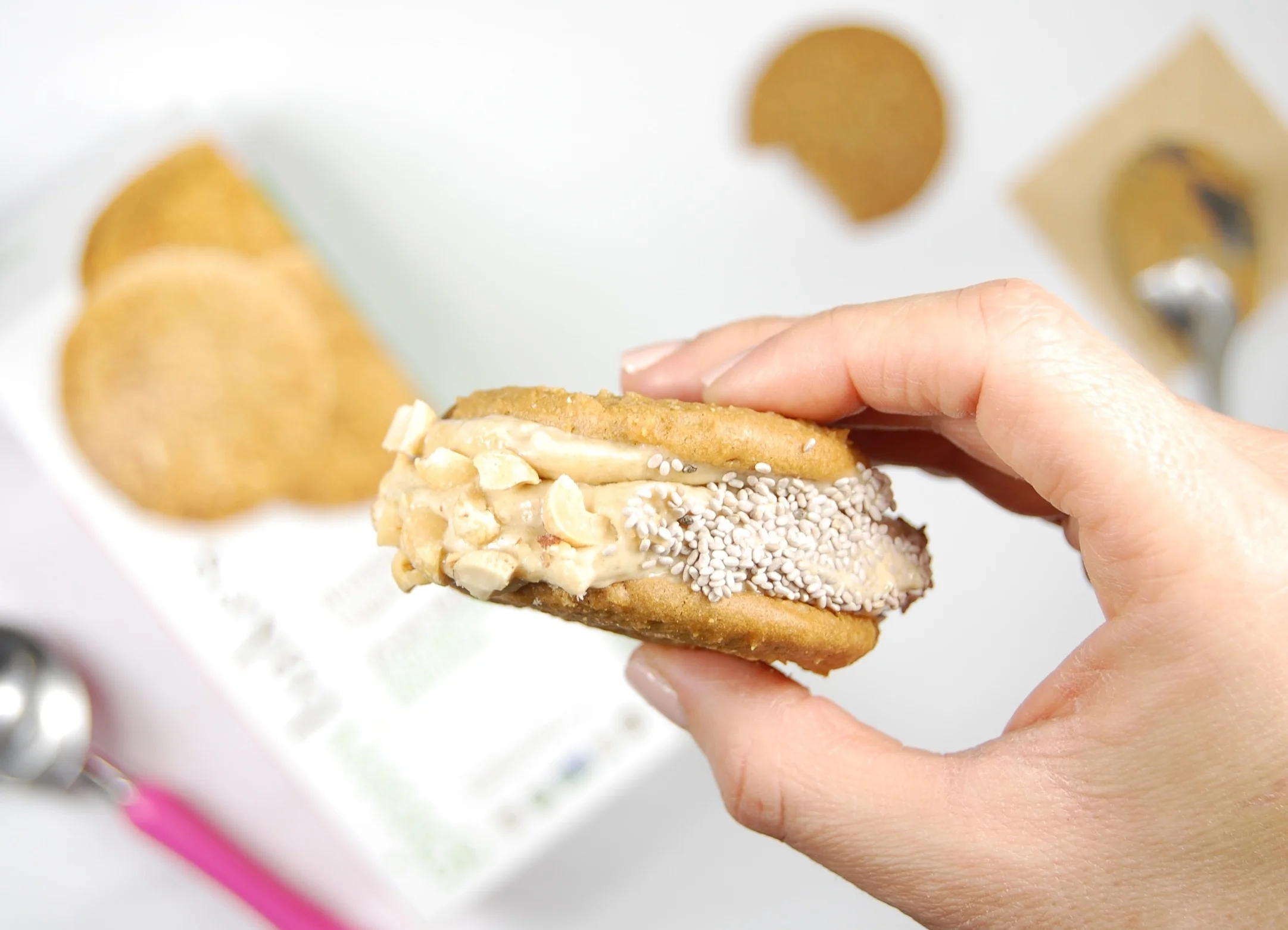 Nicecream Sandwiches 