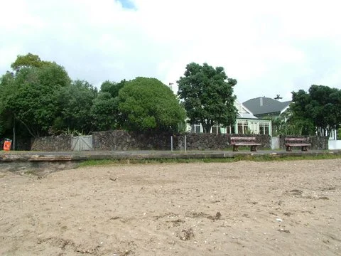 29 01 07 15 Arawa Ave from beach.jpg